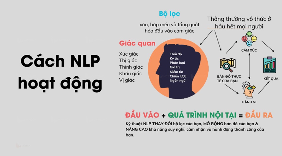 NLP hoạt động như thế nào